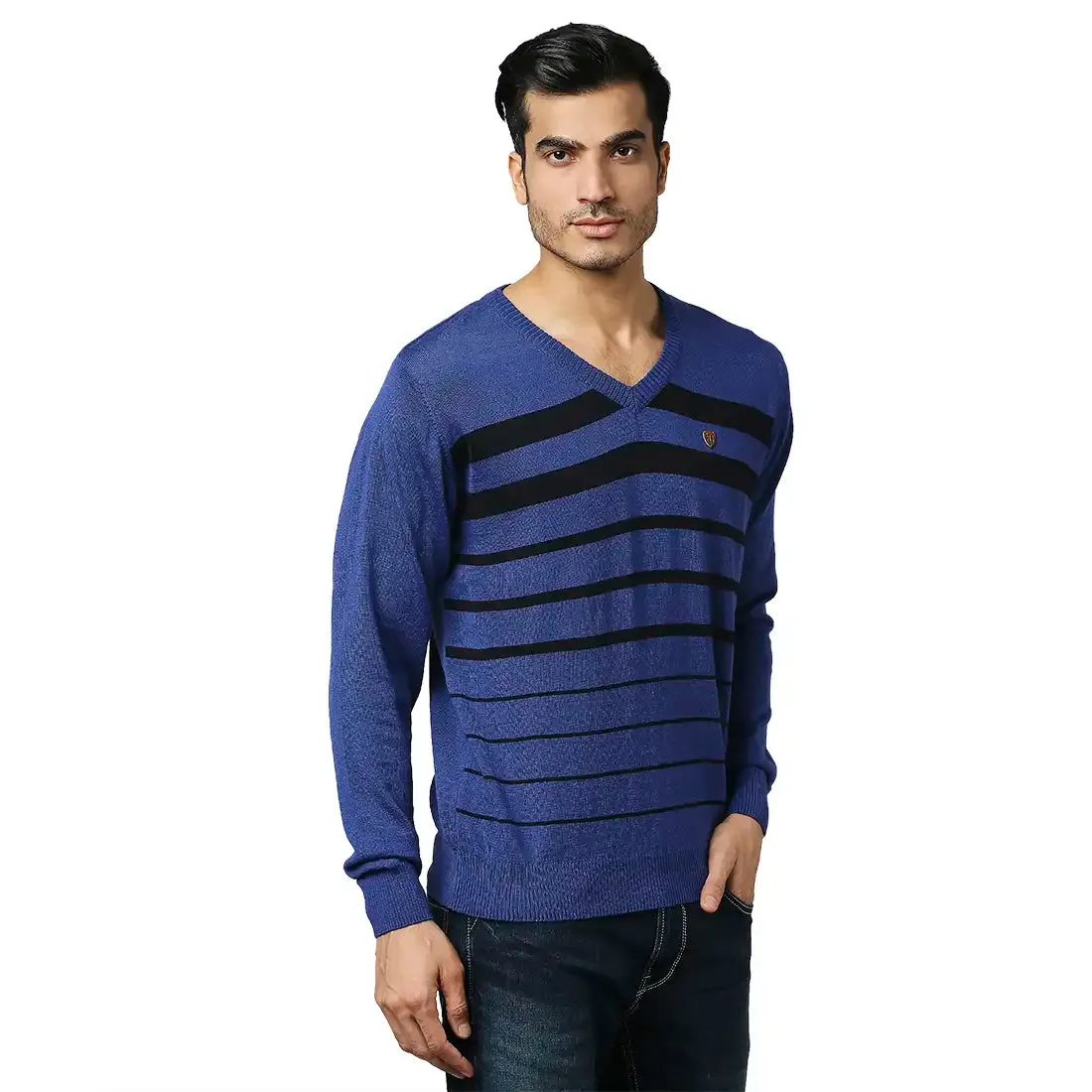 Men Blue Stripe Acrylic Wool Blend Full Sleeve V Neck Collar Sweaters