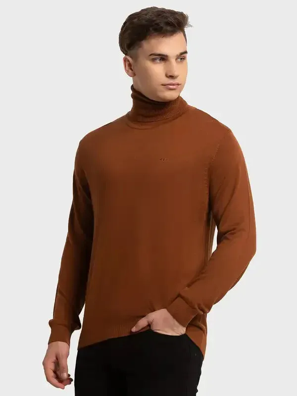 Men Brown Tailored Fit Solid Merino Wool Acrylic Blend Full Sleeve V Neck Collar Sweaters