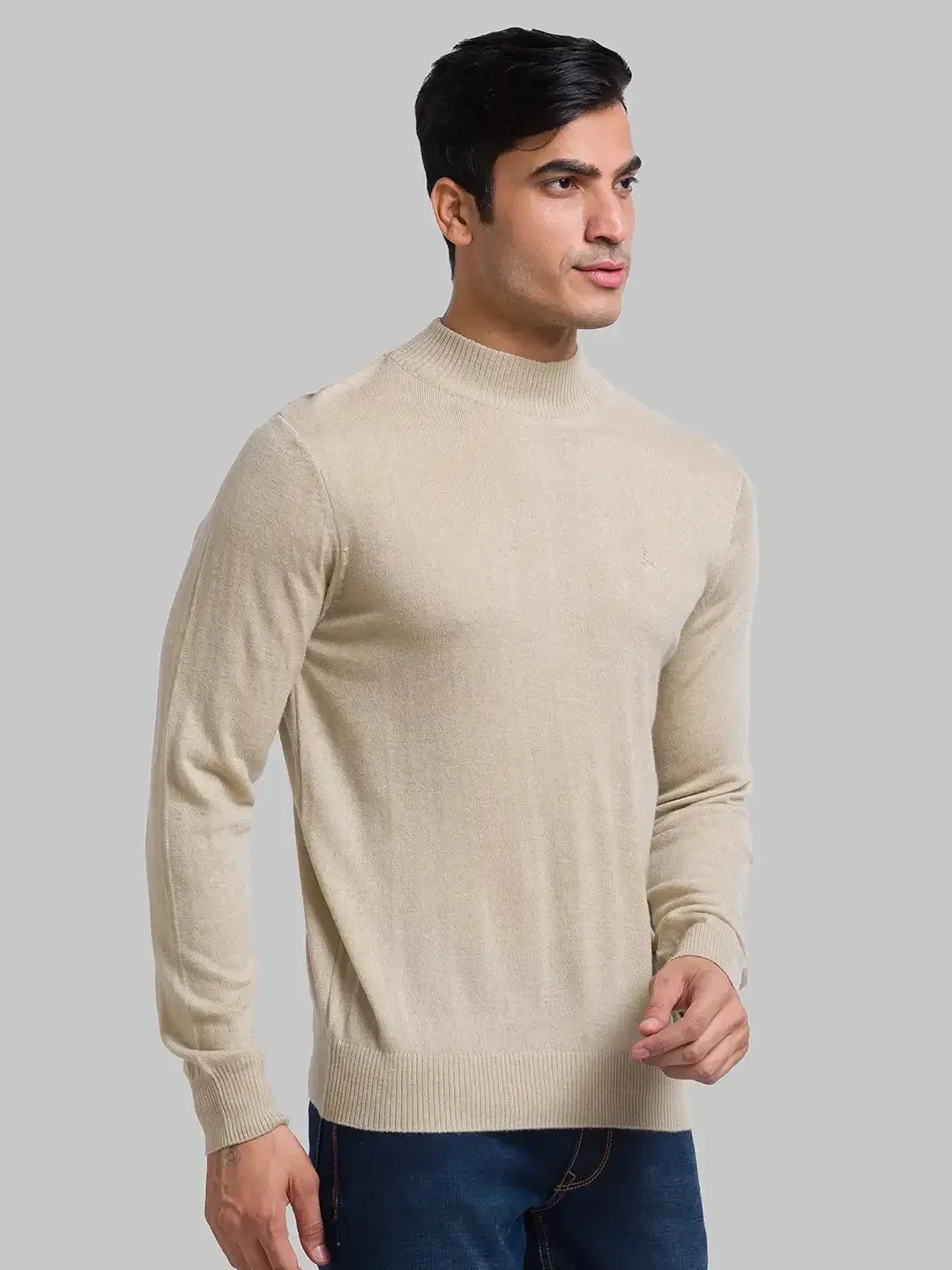 Men Fawn Solid Acrylic Wool Blend Full Sleeve Sweaters