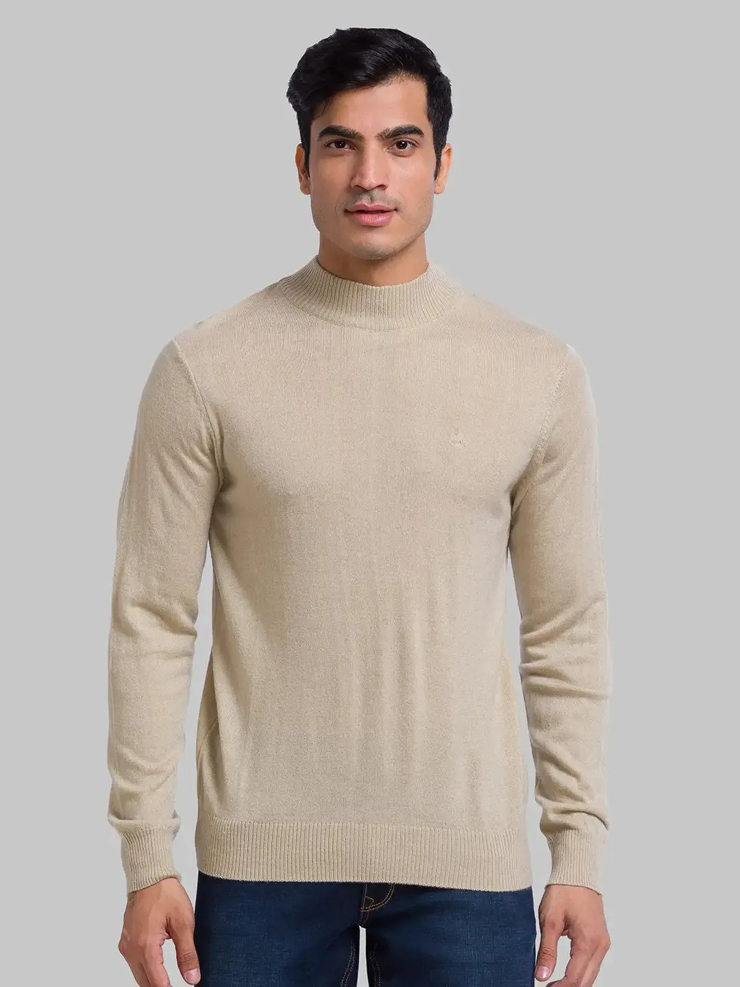 Men Fawn Solid Acrylic Wool Blend Full Sleeve Sweaters