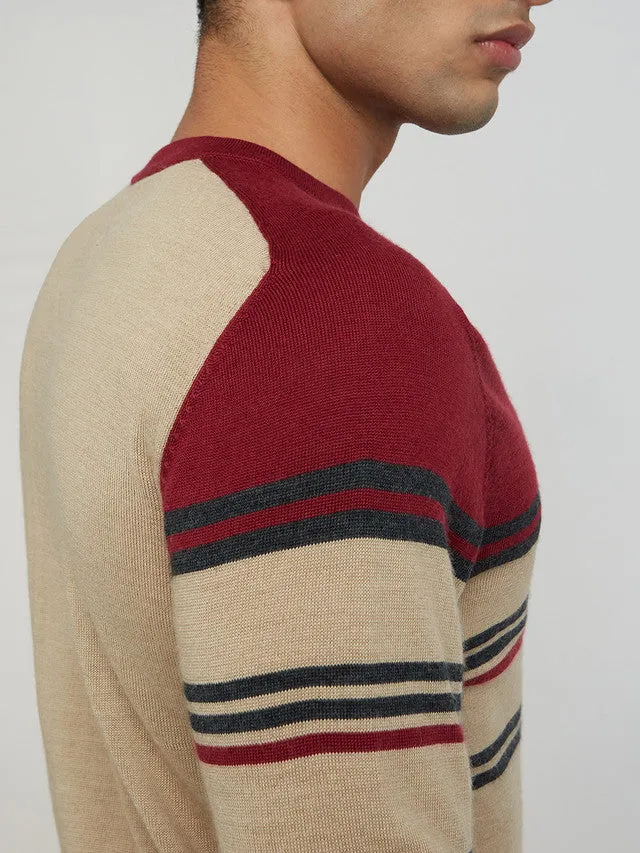 Men Fawn Tailored Fit Stripe Merino Wool Acrylic Blend Full Sleeve V Neck Collar Sweaters