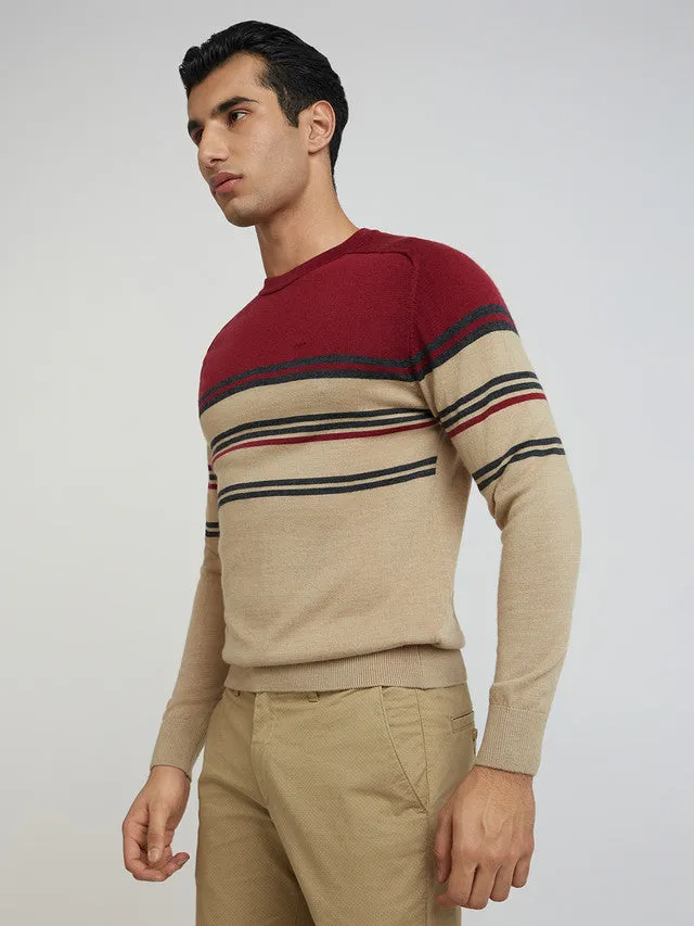 Men Fawn Tailored Fit Stripe Merino Wool Acrylic Blend Full Sleeve V Neck Collar Sweaters