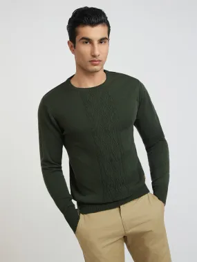 Men Green Structure Cable Acrylic Wool Blend Round Collar Sweaters