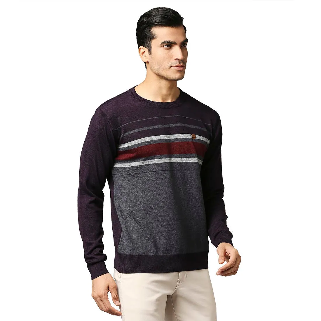 Men Violet Stripe Acrylic Wool Blend Round Collar Sweaters