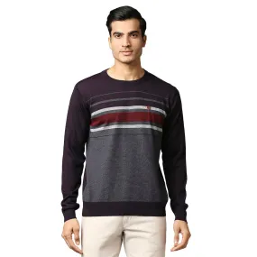 Men Violet Stripe Acrylic Wool Blend Round Collar Sweaters