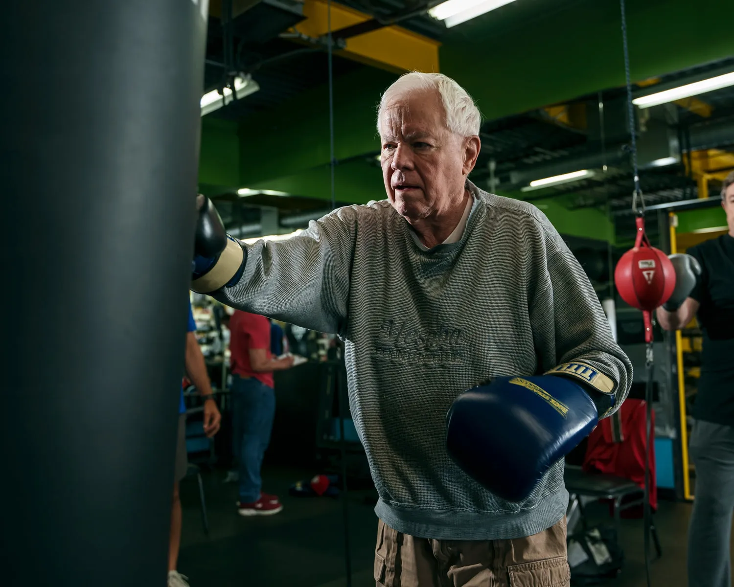 TITLE Boxing Rock Steady Leather Training Gloves